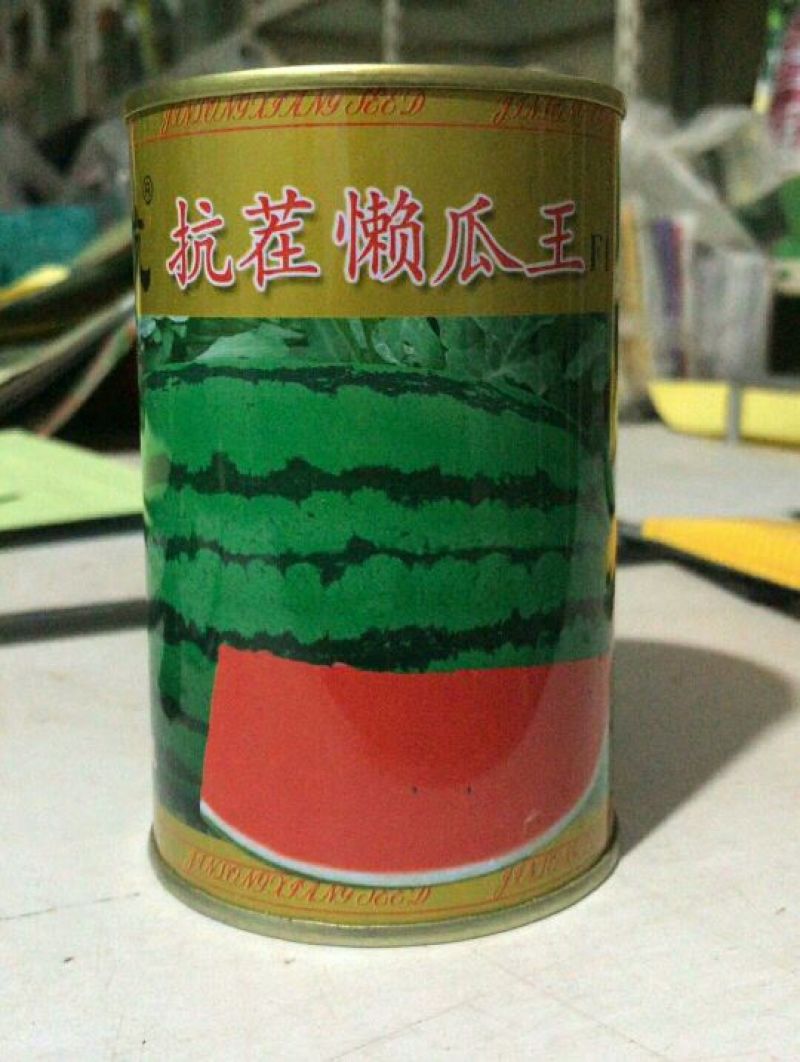 抗茬懒瓜西瓜种子50克/桶