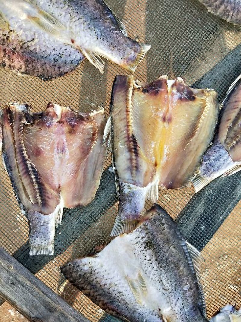 鲤鱼
