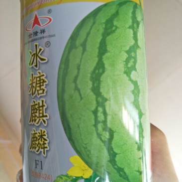 冰糖麒麟西瓜种子50克/桶