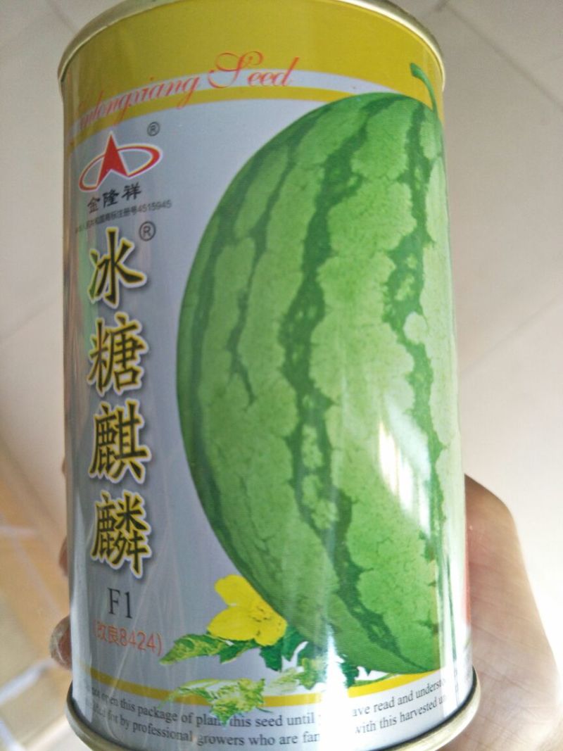冰糖麒麟西瓜种子50克/桶