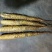 白玉山药3~4厘米一级通货20~30厘米