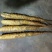 白玉山药3~4厘米一级通货20~30厘米
