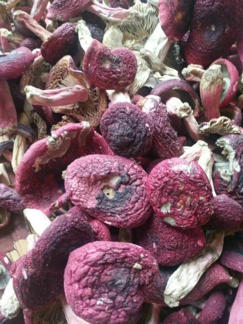 野生菌