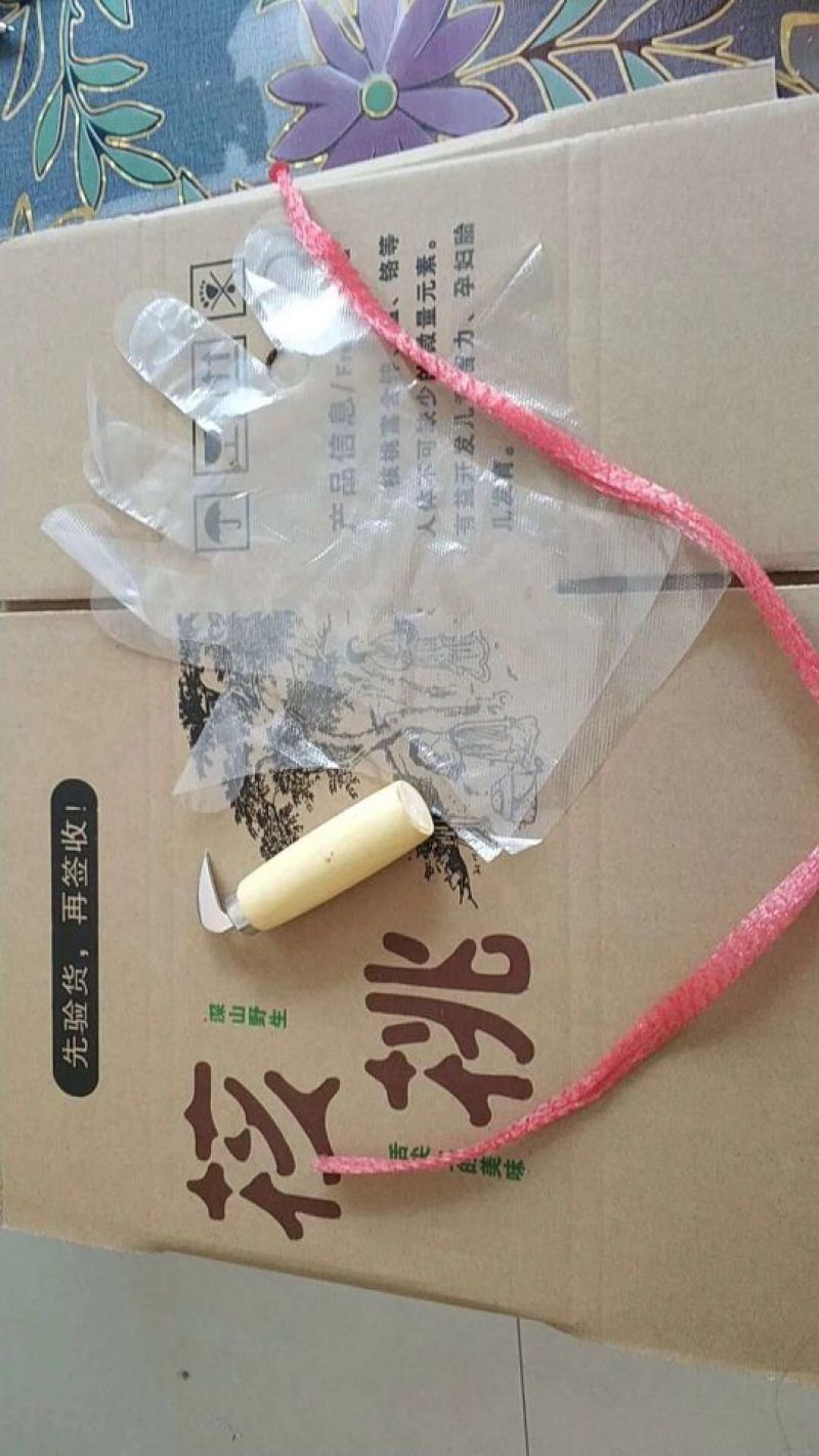 手工青皮核桃刀不锈钢生核桃开口器剥皮剥绿皮核桃开壳剥壳