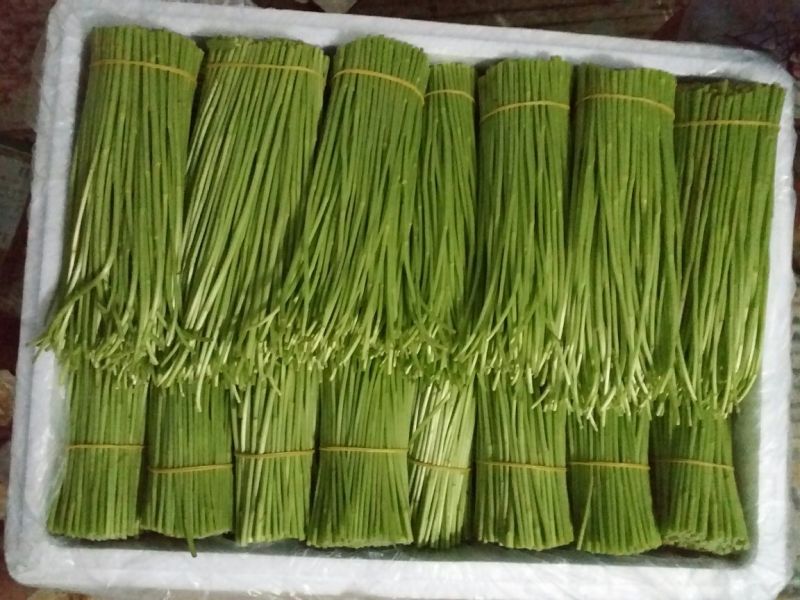 百亩基地芦蒿，散装，代装，品质保证，量大从优，全国可发。