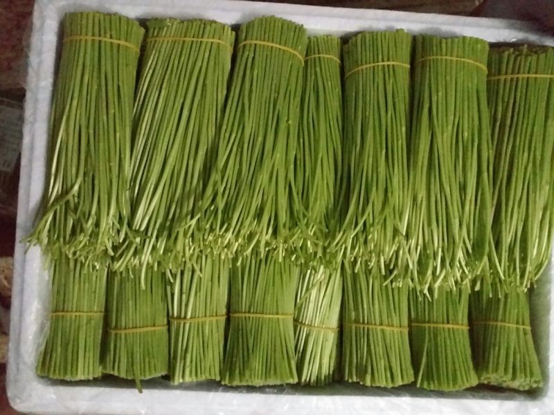 百亩基地芦蒿，散装，代装，品质保证，量大从优，全国可发。