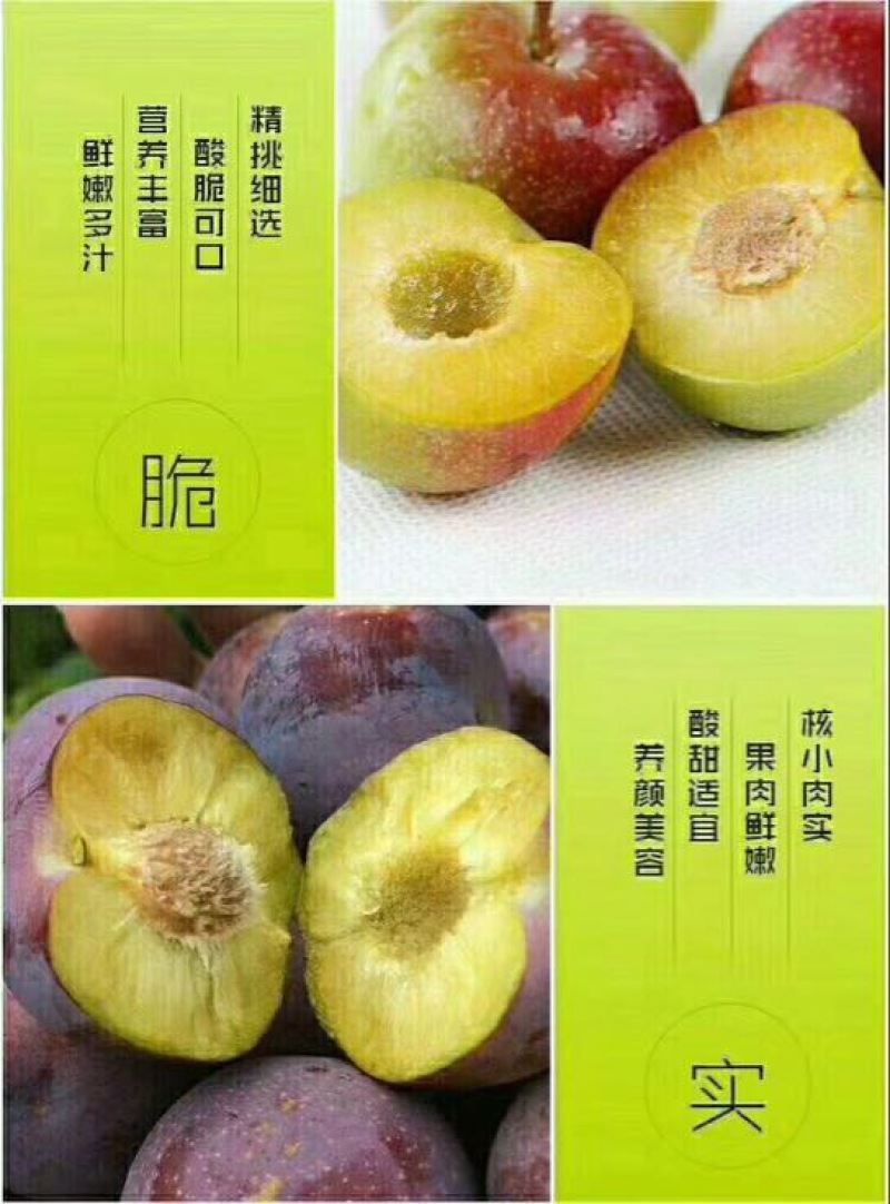 脆红李大量上市，大小单都接，可以代办