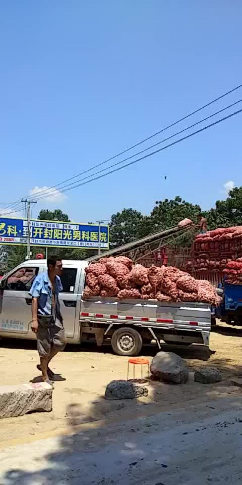 金杞大蒜紫皮色，\品质好万亩基地大蒜有专业冷库代加工发往