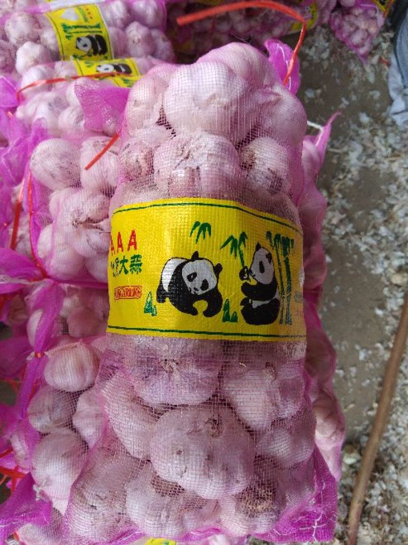 金杞大蒜紫皮色，\品质好万亩基地大蒜有专业冷库代加工发往