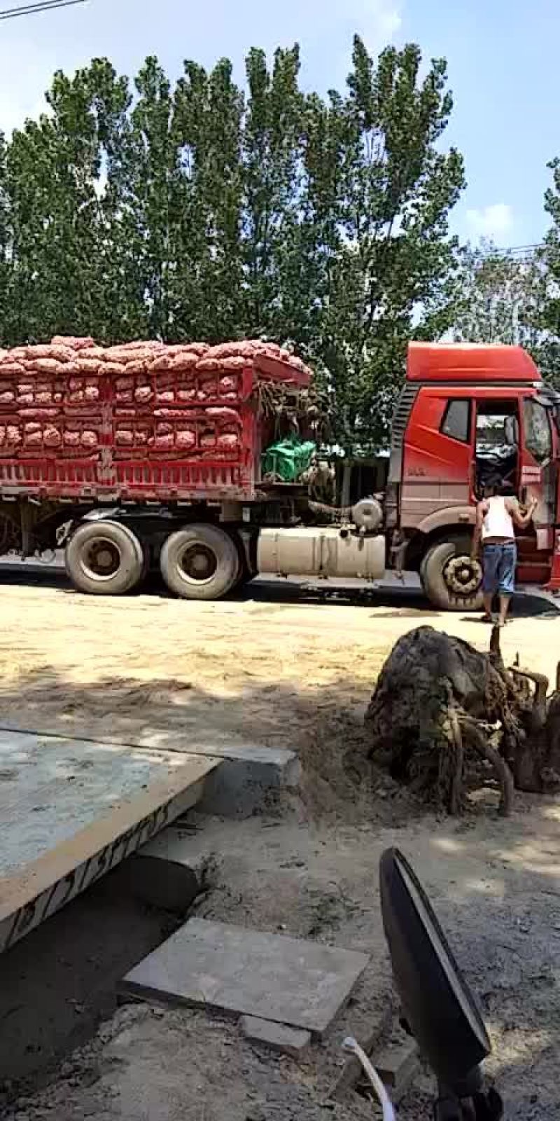金杞大蒜紫皮色，\品质好万亩基地大蒜有专业冷库代加工发往