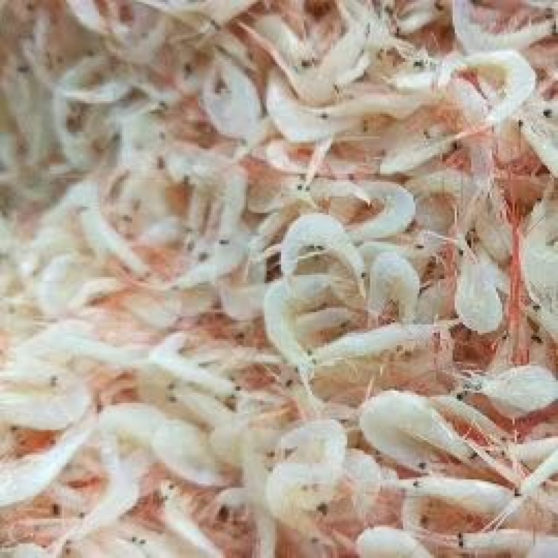 虾皮渤海湾毛虾皮自加工，品质保障大量