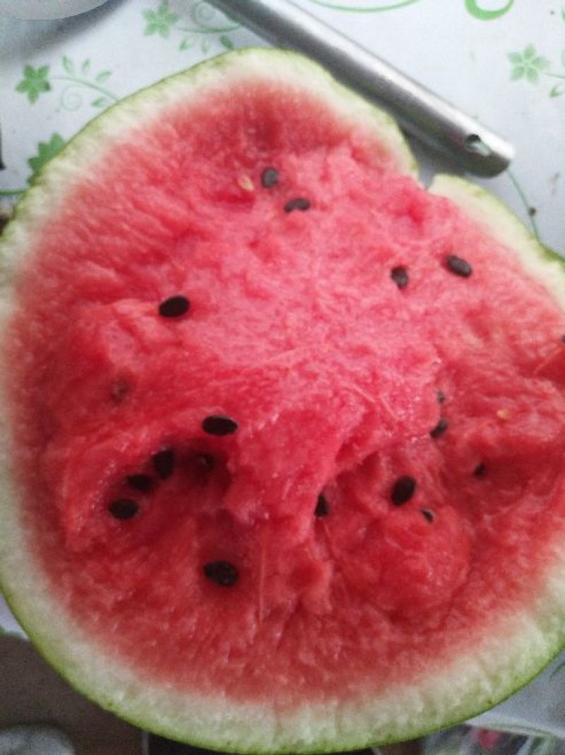吉林洮南地雷西瓜