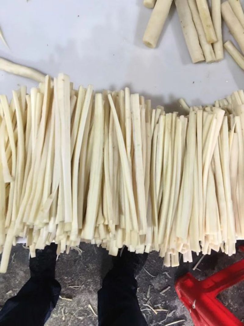 常年供应出口韩国牛蒡条、牛蒡丝