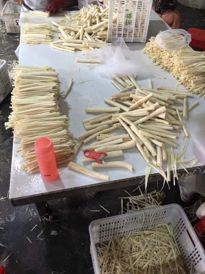 常年供应出口韩国牛蒡条、牛蒡丝