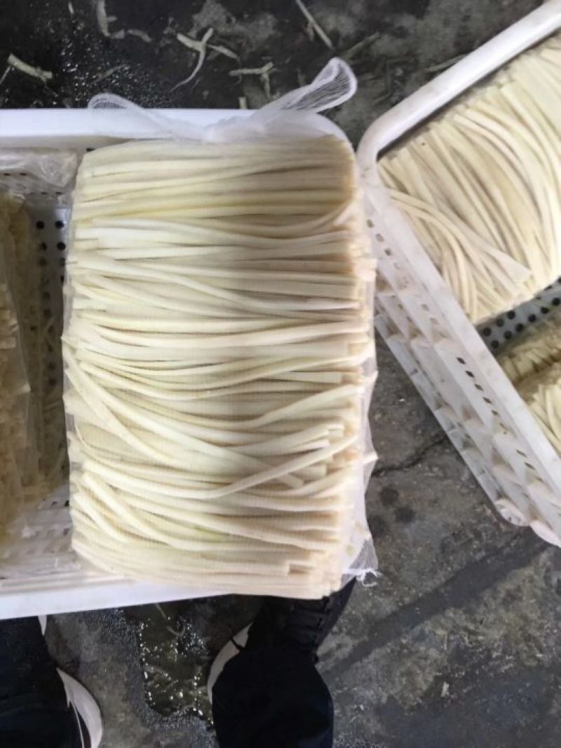 常年供应出口韩国牛蒡条、牛蒡丝