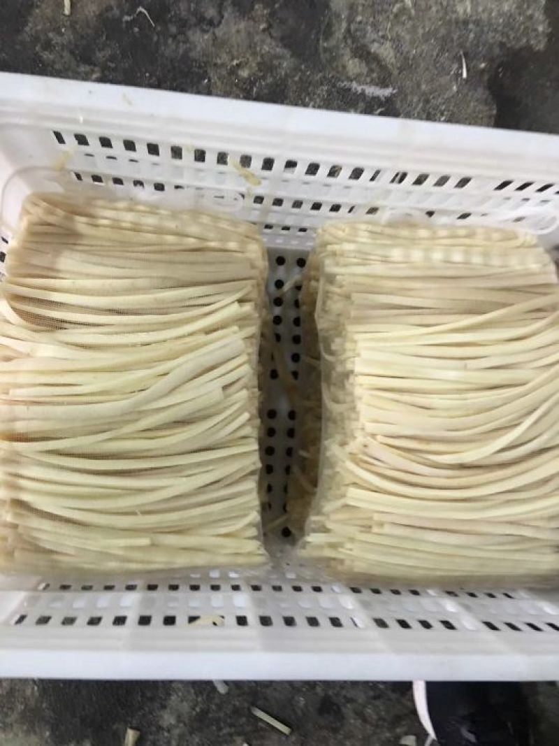 常年供应出口韩国牛蒡条、牛蒡丝