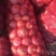 红皮洋葱6~8厘米