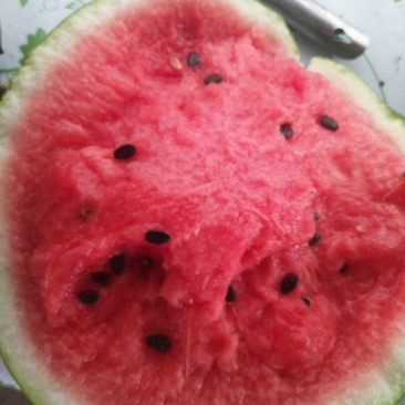吉林洮南地雷西瓜🍉