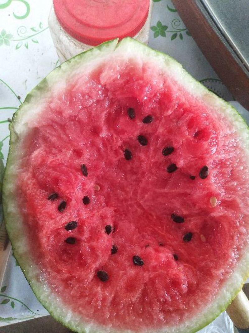 吉林洮南地雷西瓜🍉