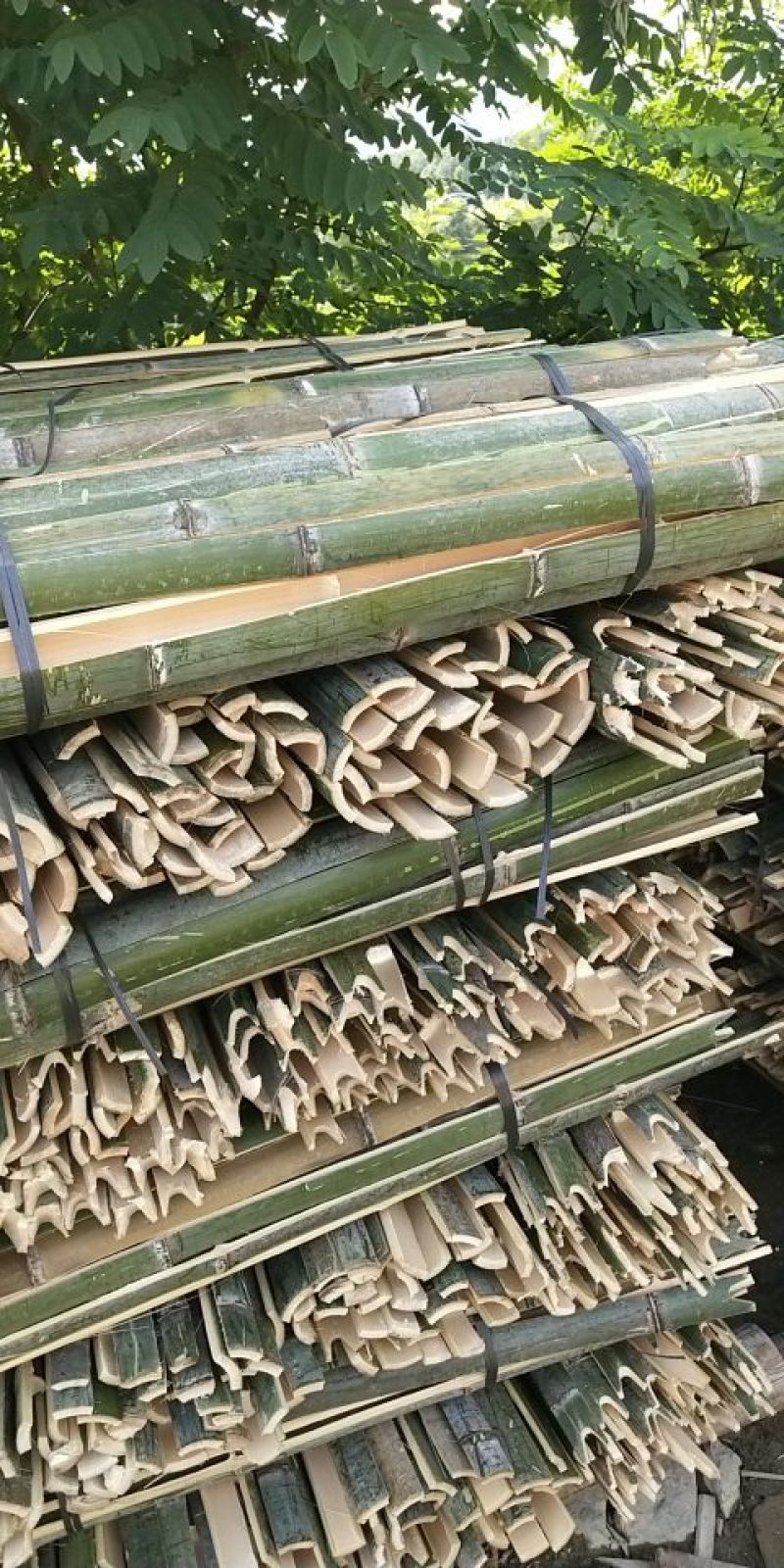 果撑，圆竹，竹片专用，大棚育苗片。。。。