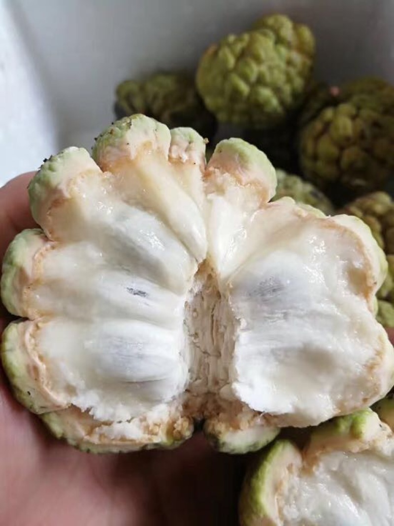 释迦一级150~200g