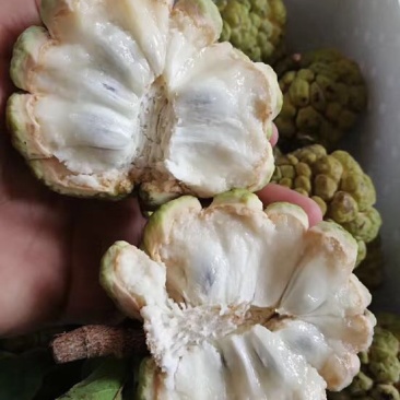 释迦一级150~200g