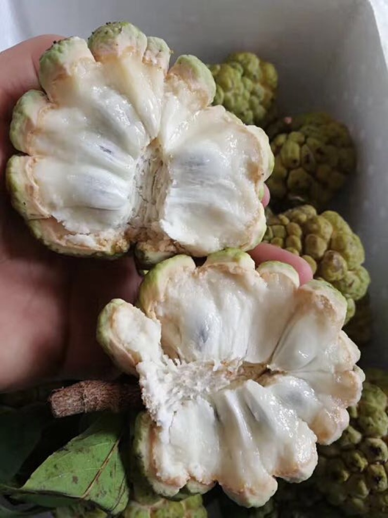 释迦一级150~200g