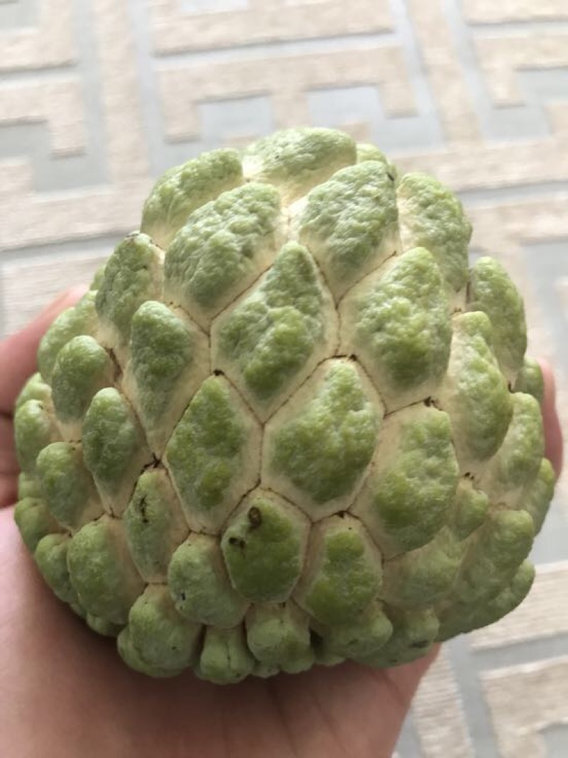 释迦一级150~200g