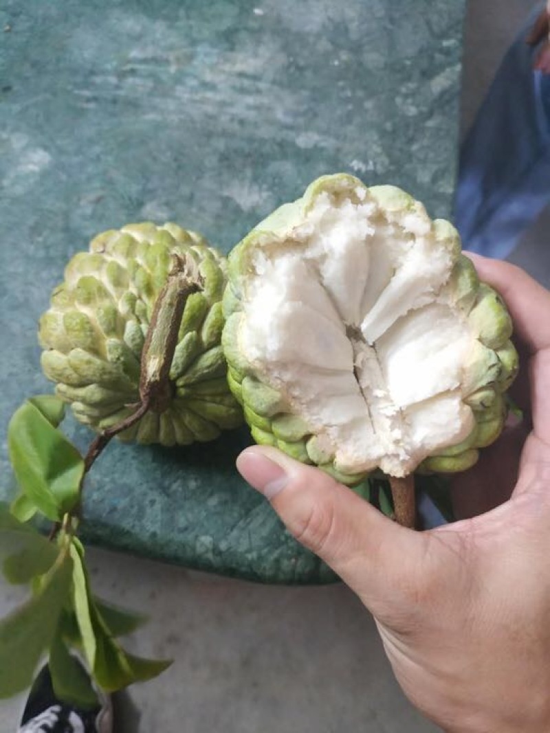 释迦一级150~200g