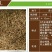 蒲公英种子婆婆丁种子