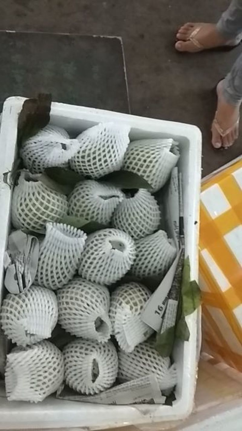 释迦果