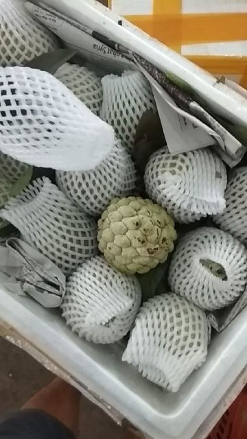 释迦果