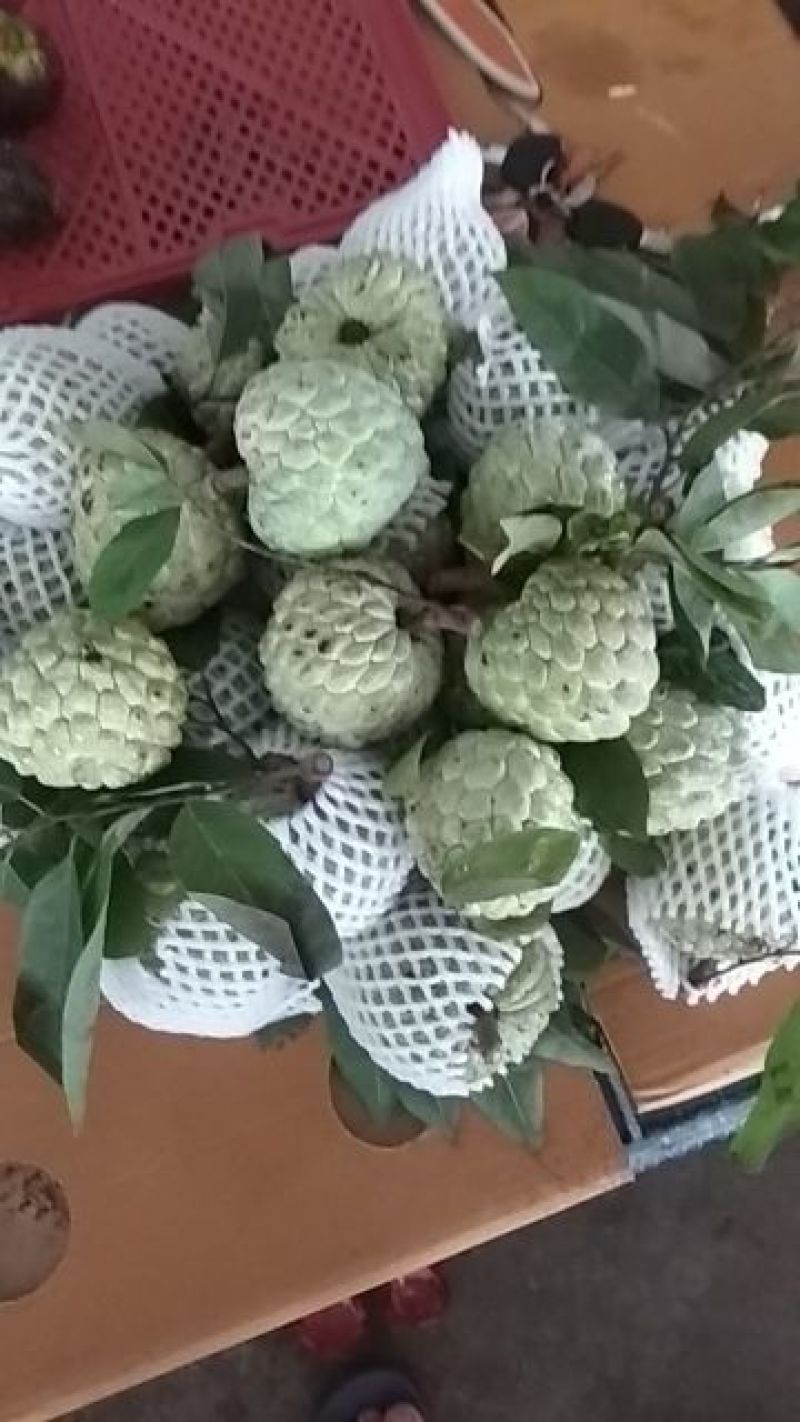 释迦果