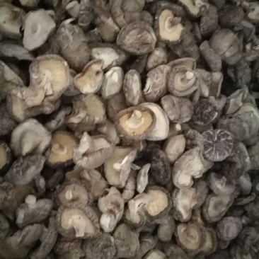 干香菇，2.5_3.0公分