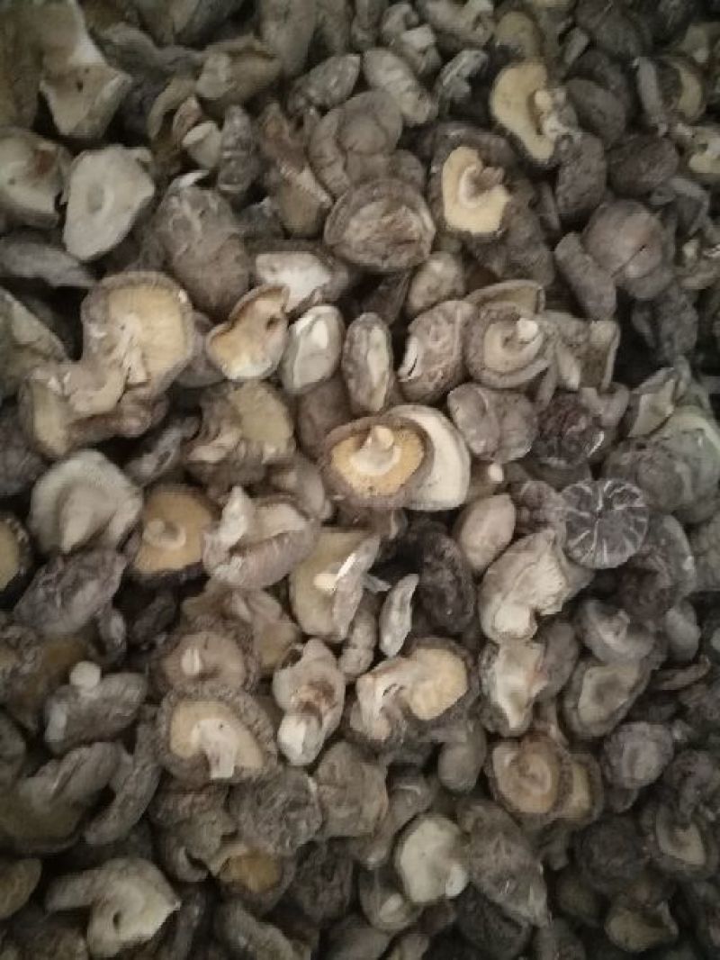 干香菇，2.5_3.0公分