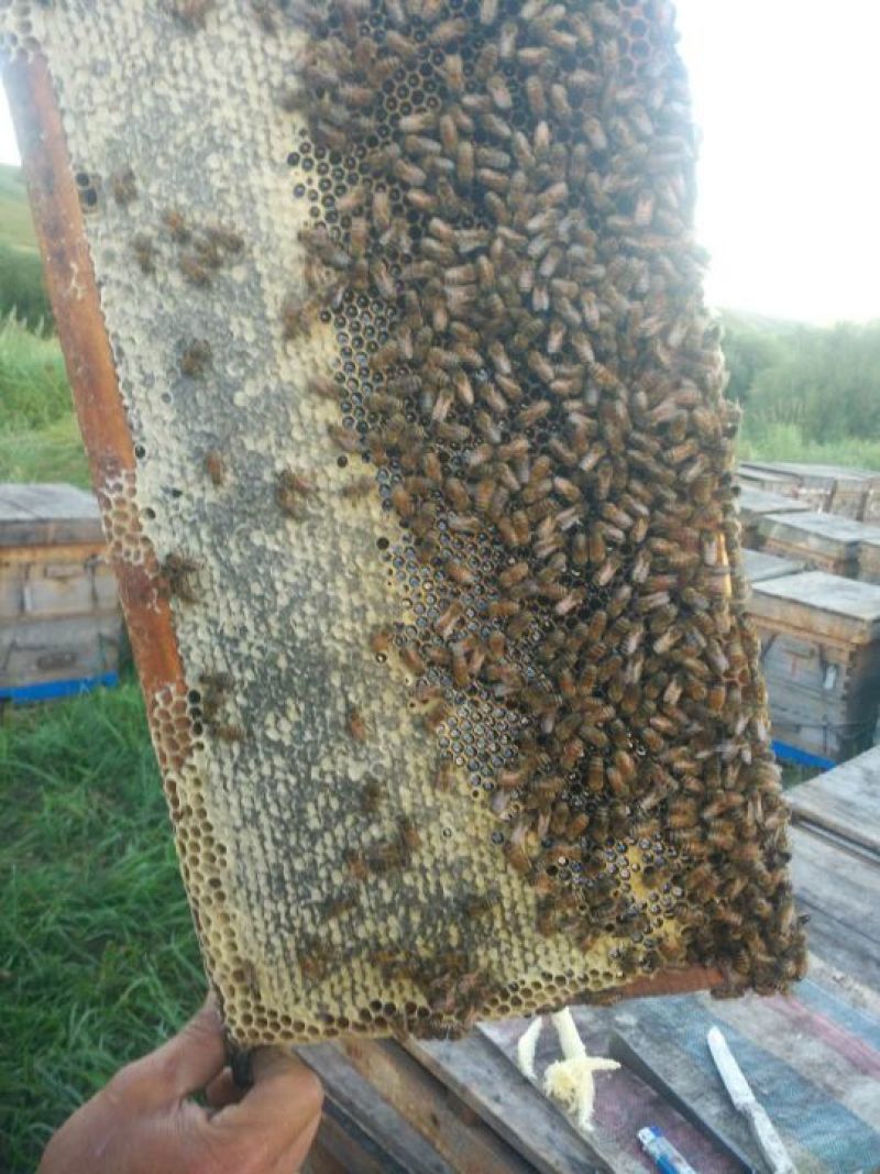 广东高州荔枝结晶蜜润肠通便、润肺止咳、健脾益气