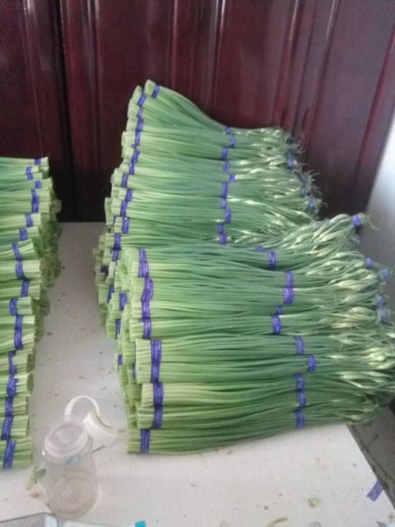 永年白帽蒜薹，高中低档次