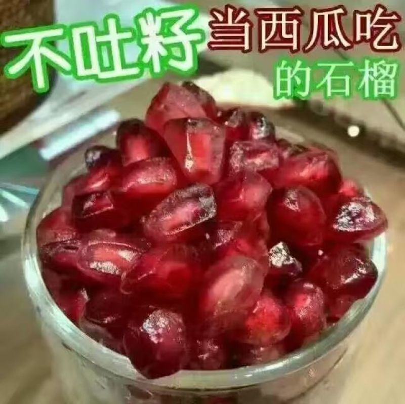 大凉山会理突尼斯软子石榴