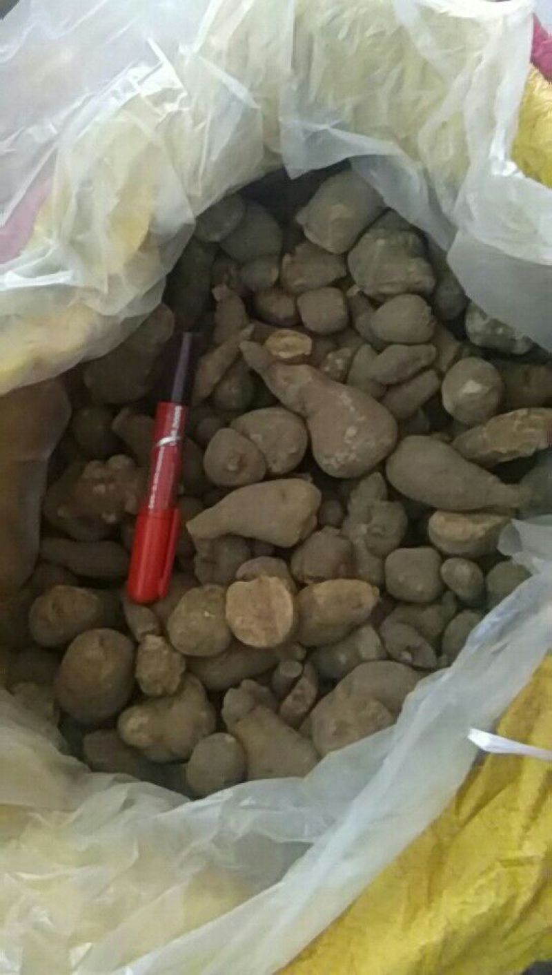 三叶青统货