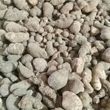 三叶青统货