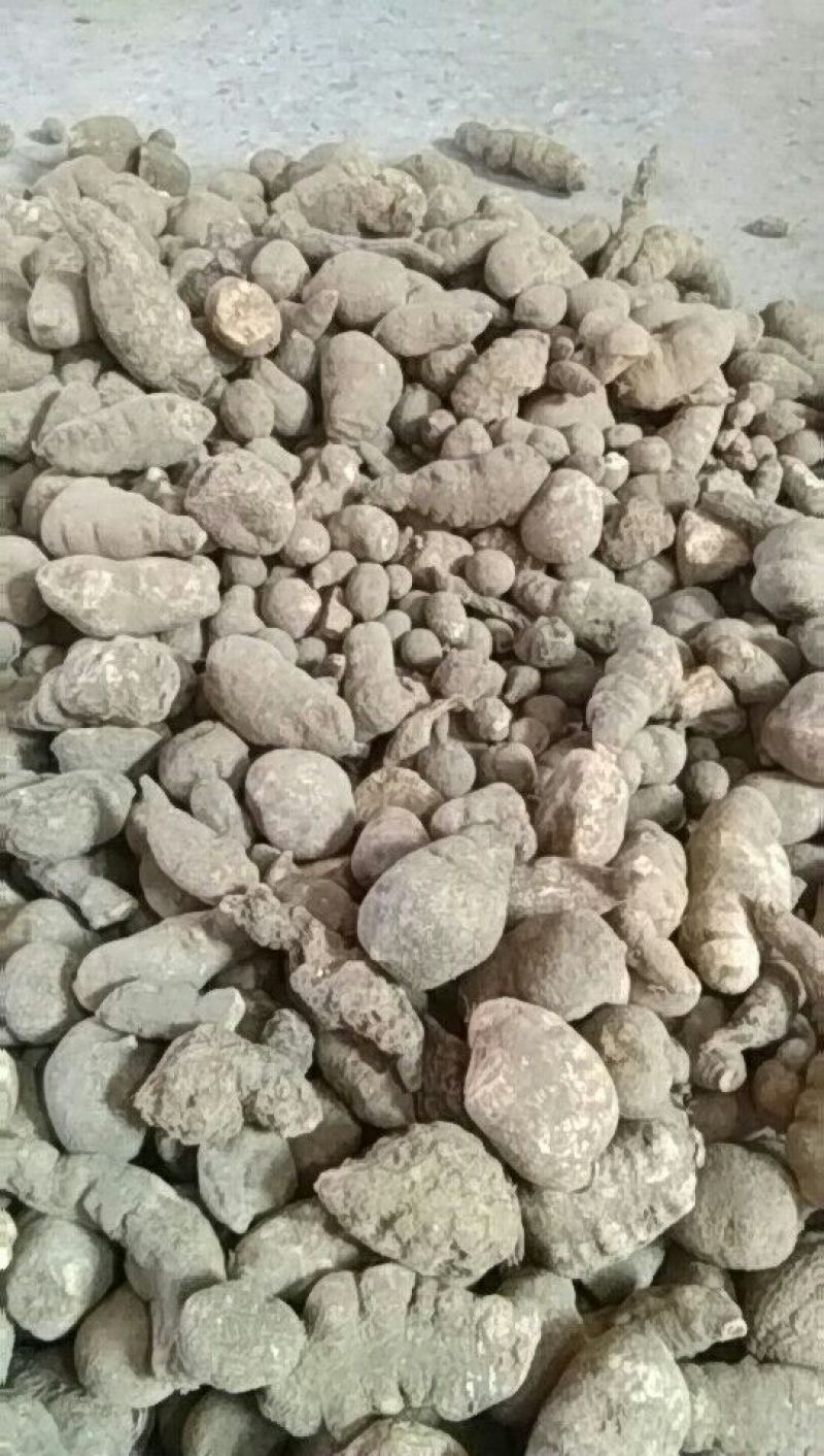 三叶青统货