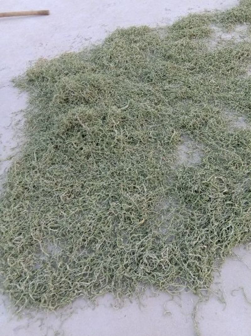 豆角丝