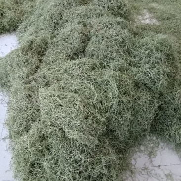 豆角丝