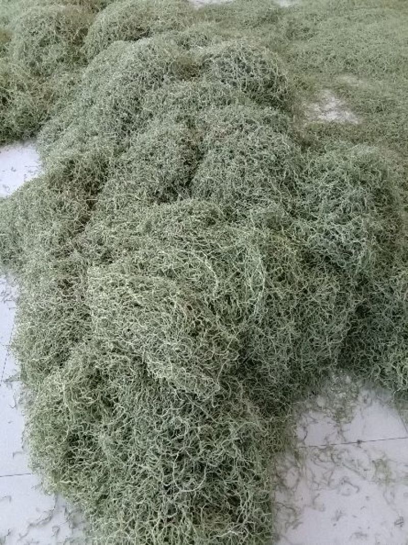 豆角丝