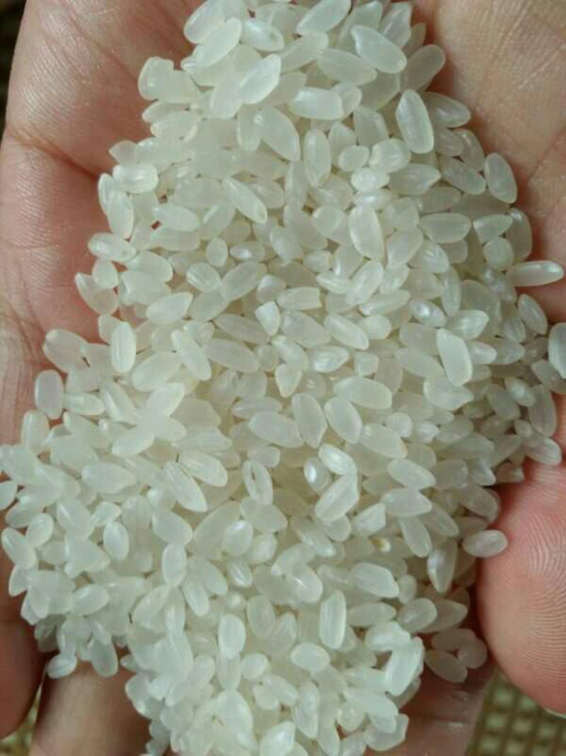 稻花香正宗的五常大米口感好米质有保障