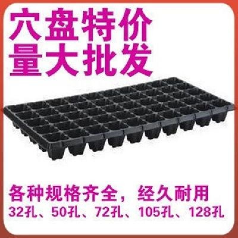 营养钵厂家直销育苗盘穴盘营养钵塑料蔬菜苗加厚
