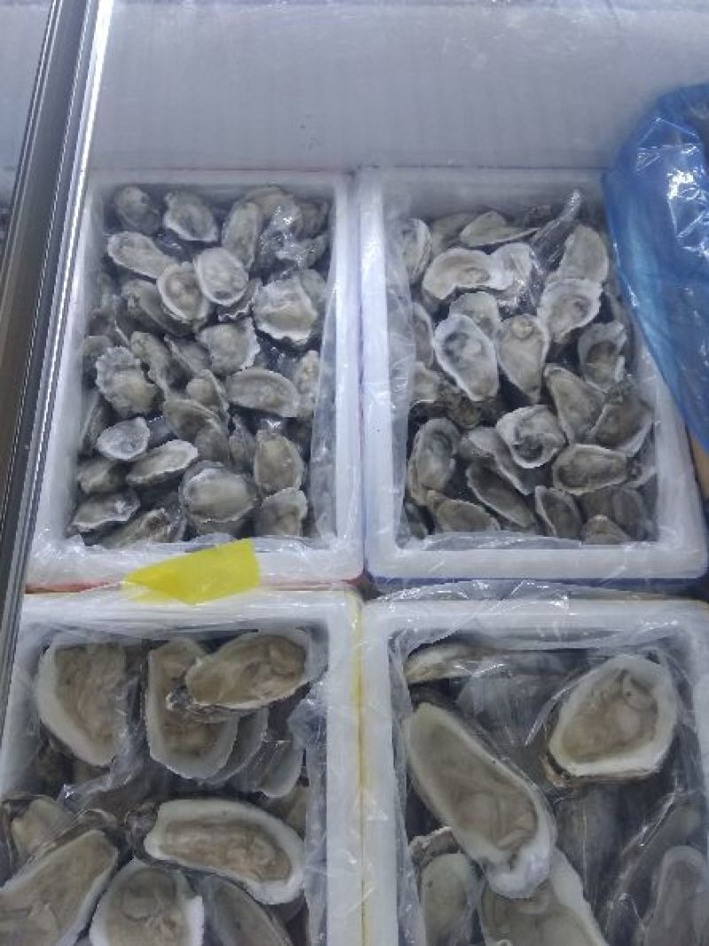 生蚝
