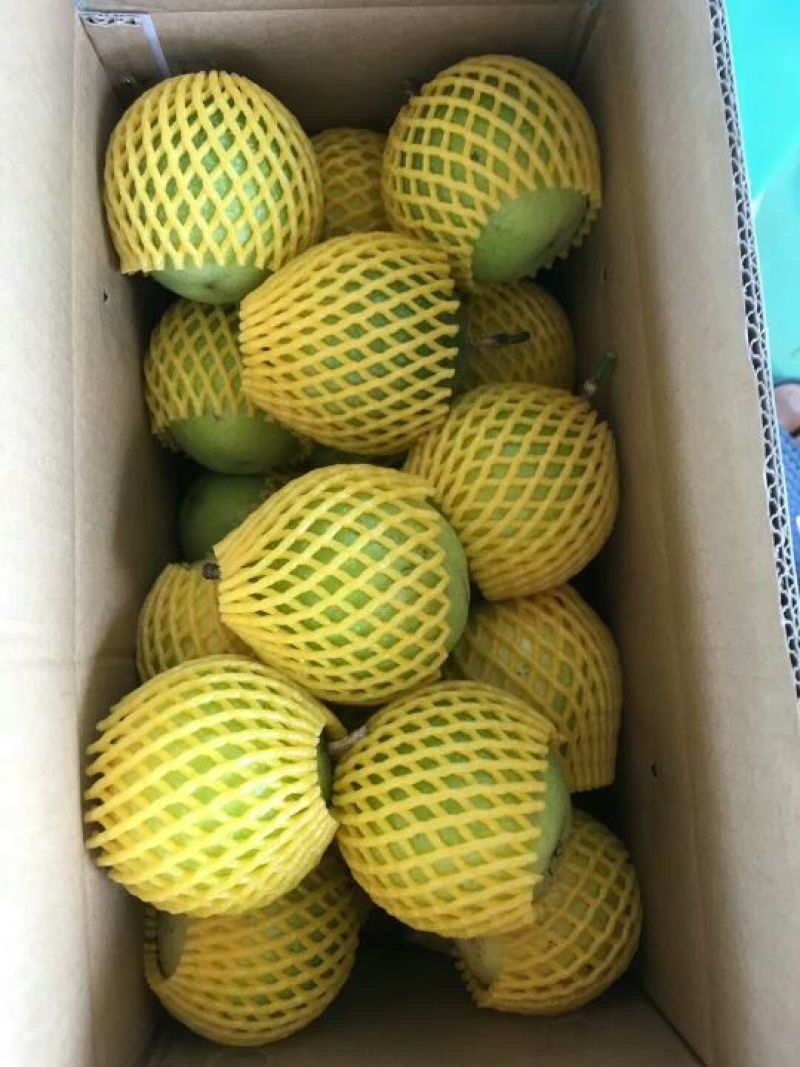 黄金百香果