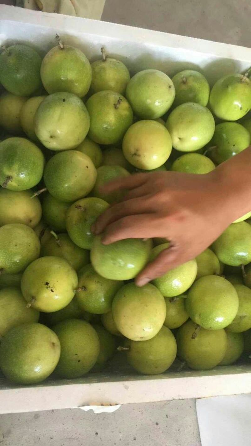 黄金百香果