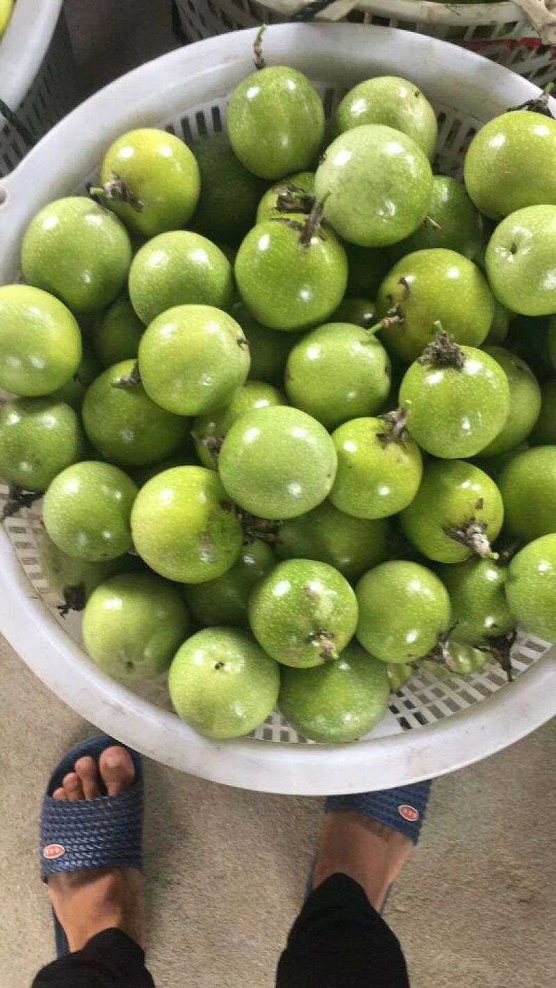 黄金百香果